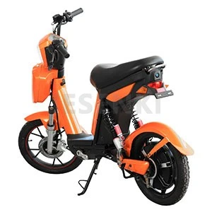 Electric E Scooter