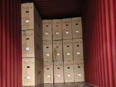 اسکوتر برقی معلولیت را به بلغارستان حمل می کند